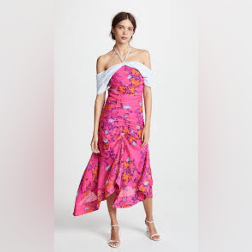Tanya Taylor Falling Floral Virginia Dress Size 2 NWT
